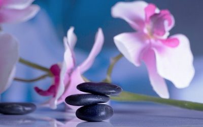 Utiliser les plantes pour entretenir sa santé